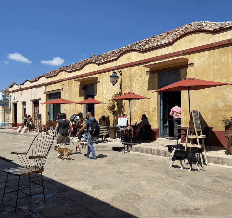 The 5x Best Cafes San Cristobal de las Casas Has To Offer