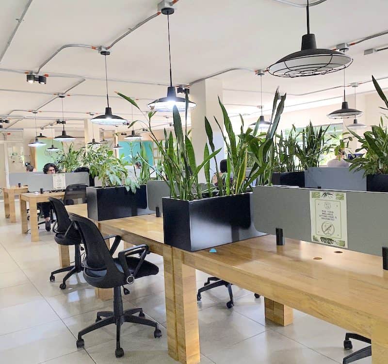 Coworking In Medellin: Top 3x Spaces For Digital Nomads To Work From