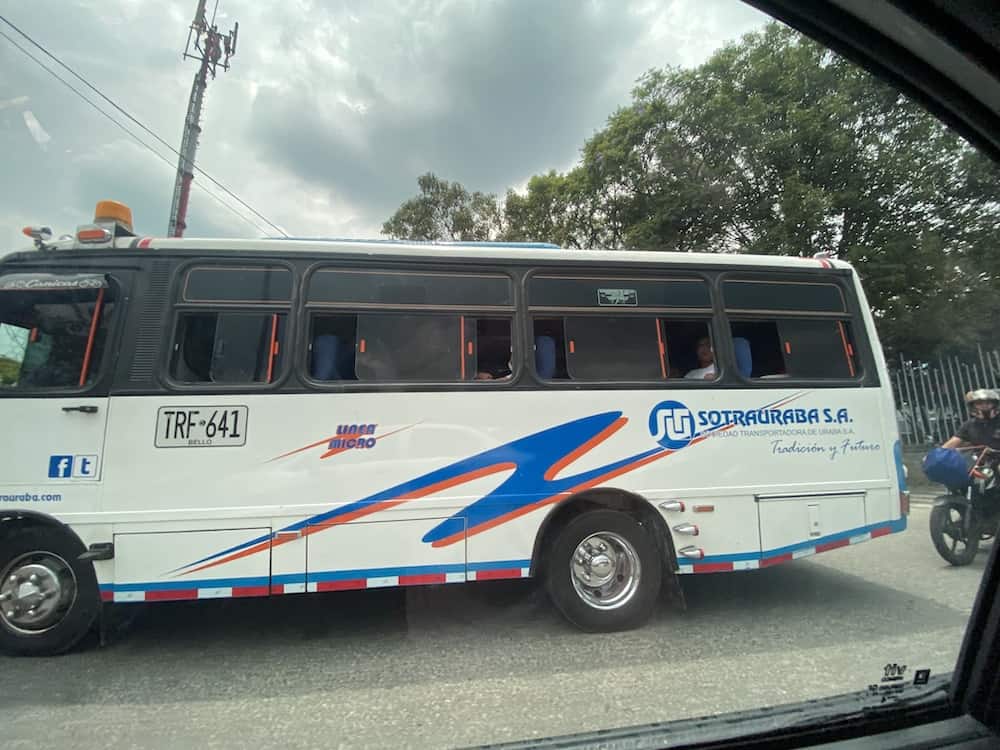 medellin buses