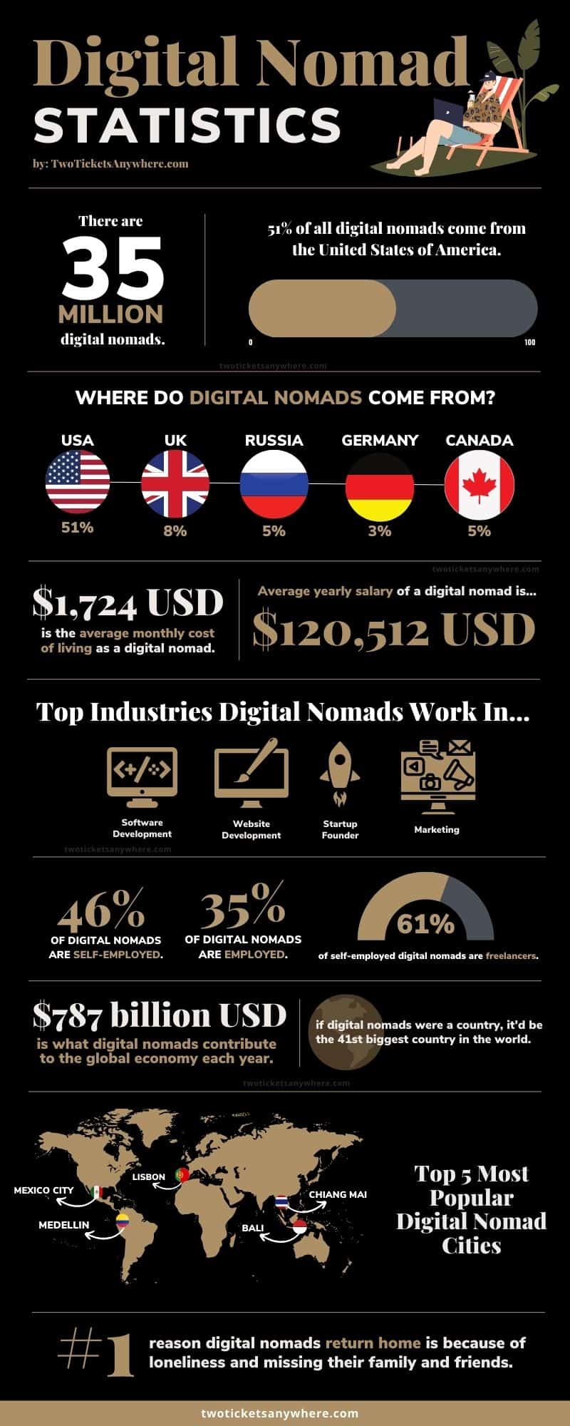 digital nomad statistics infographic