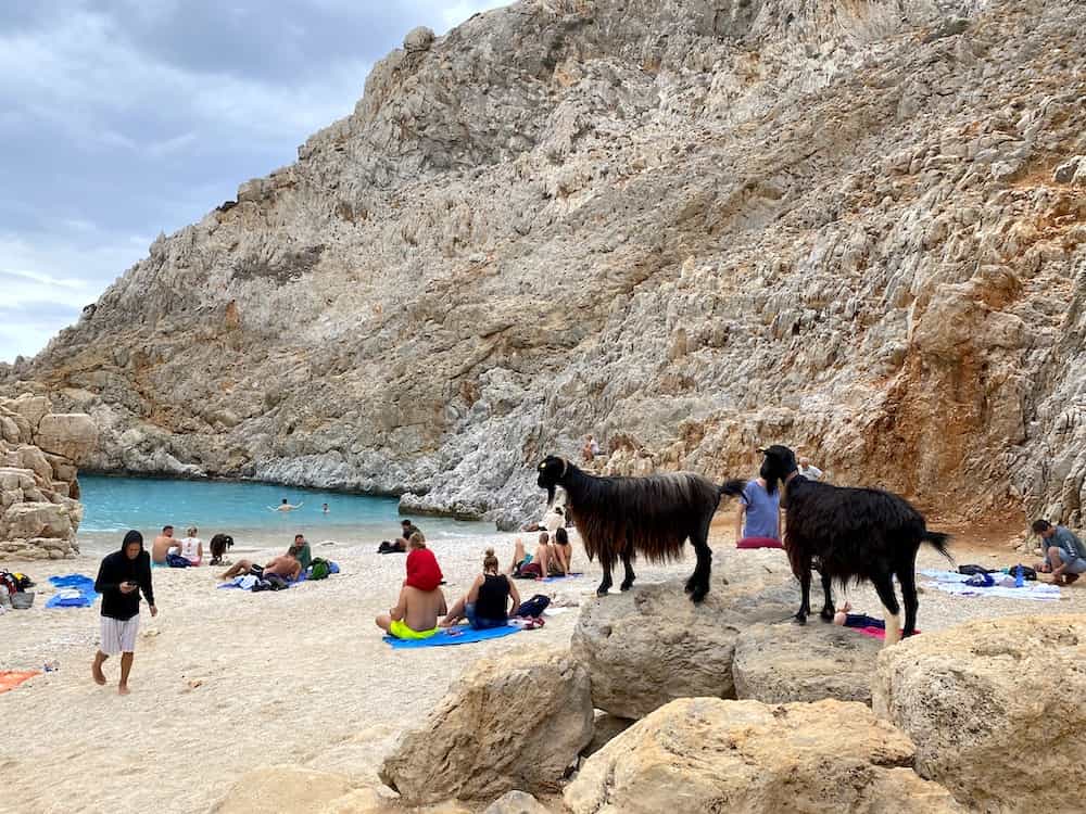 crete goat beach